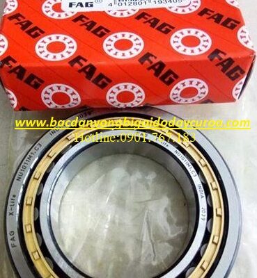 BẠC ĐẠN NU1011M1.C3