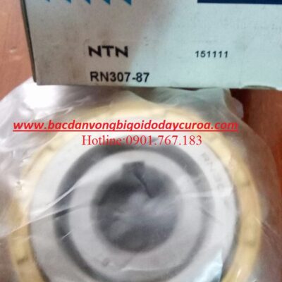 BẠC ĐẠN RN307-71