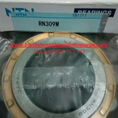 BẠC ĐẠN RN309