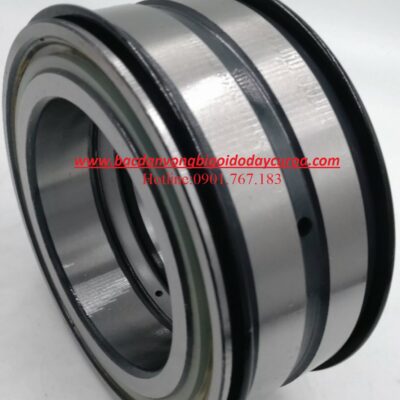 BẠC ĐẠN SL04 5030 PP 2NR INA