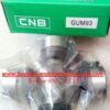 BẠC ĐẠN CHỮ THẬP GUM93