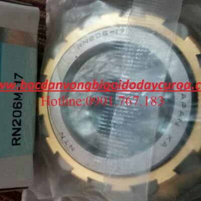 BẠC ĐẠN LỆCH TÂM RN206-17 NTN
