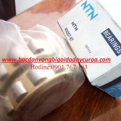 BẠC ĐẠN LỆCH TÂM RN307-87 NTN