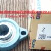 GỐI ĐỠ SBLF204-LF204 ASAHI