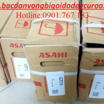 GỐI ĐỠ UCP316