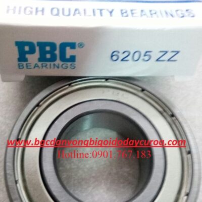 BẠC ĐẠN 6205Z