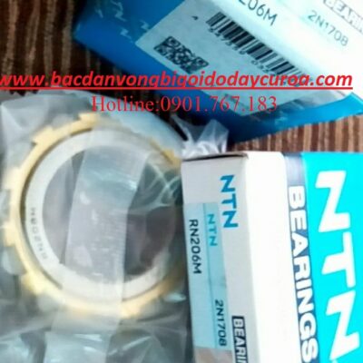 BẠC ĐẠN RN206M NTN