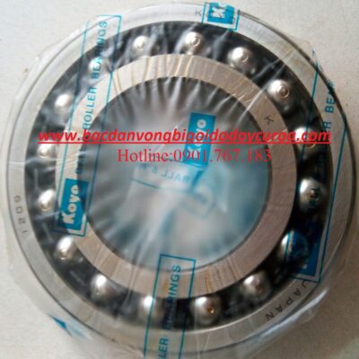 BẠC ĐẠN KOYO - 1209