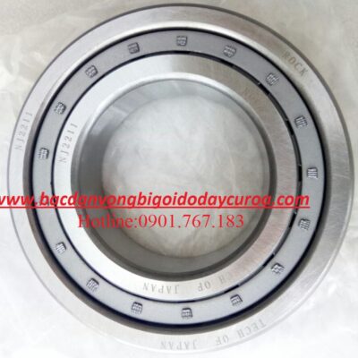 BẠC ĐẠN NJ2211