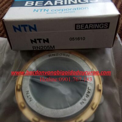 BẠC ĐẠN RN205M NTN