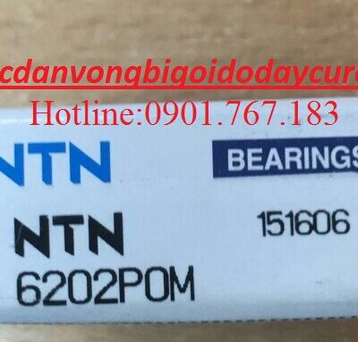 BẠC ĐẠN 6202POM NTN