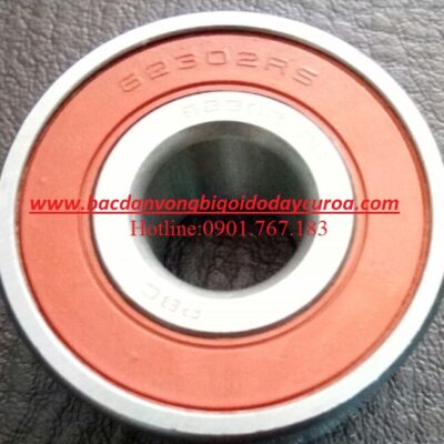 BẠC ĐẠN 62302RS