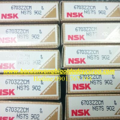 BẠC ĐẠN 6703 ZZ NSK
