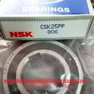 BẠC ĐẠN CSK25PP