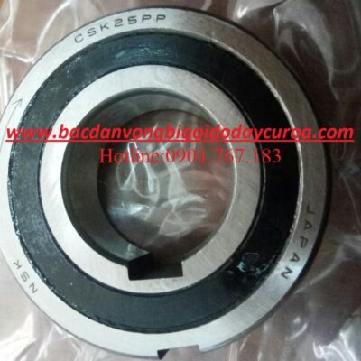 BẠC ĐẠN CSK25PP NSK