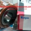 BẠC ĐẠN LỆCH TÂM 6141317 YSX KOYO