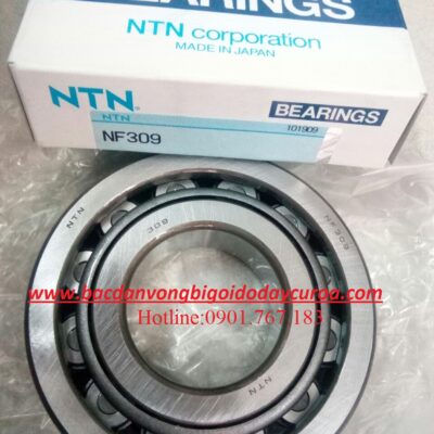 BẠC ĐẠN NF309 NTN