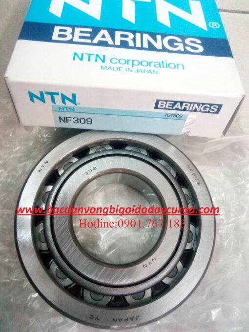 BẠC ĐẠN NF309 NTN