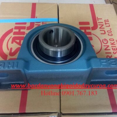 GỐI ĐỠ UCP312