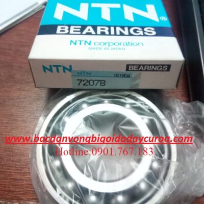 BẠC ĐẠN 7207B NTN