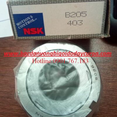 BẠC ĐẠN B205 NSK