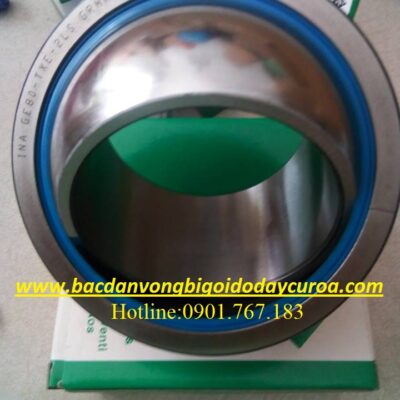 BẠC ĐẠN MẮT TRÂU INA