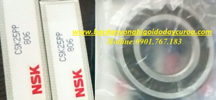 BẠC ĐẠN CSK25 NSK