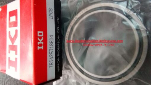 BẠC ĐẠN TRI425718E04 IKO