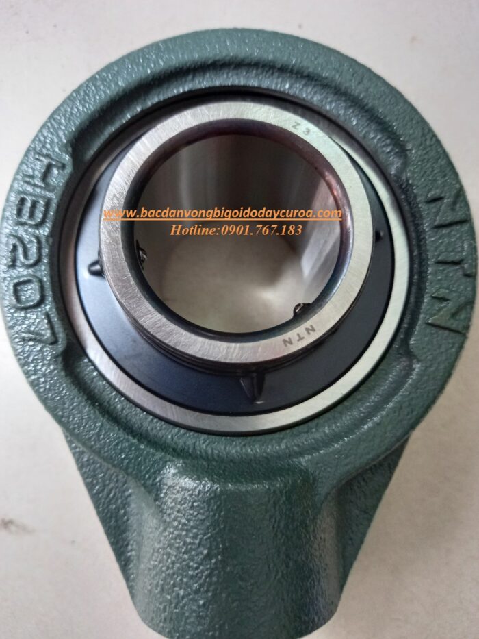 BẠC ĐẠN HB207