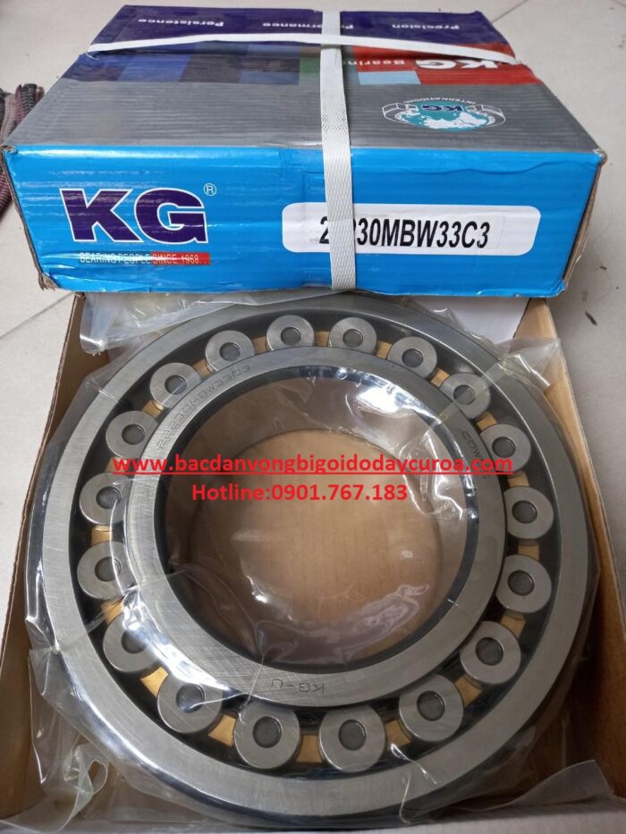 BẠC ĐẠN 22230MBW33C3