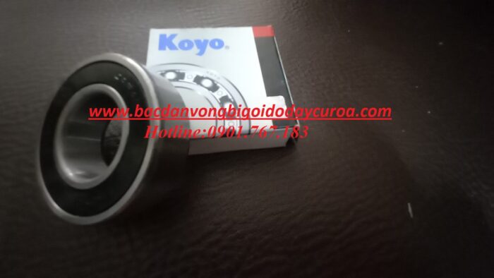 BẠC ĐẠN 6215 2RS