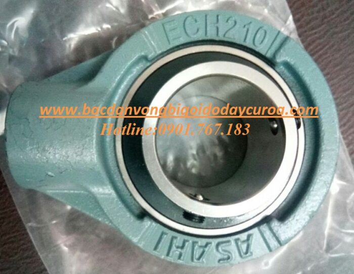 BẠC ĐẠN ECH202